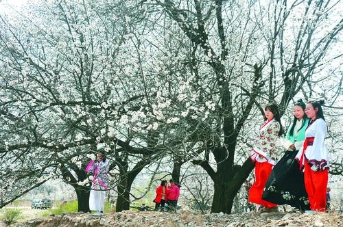 纬来直播多屏互动